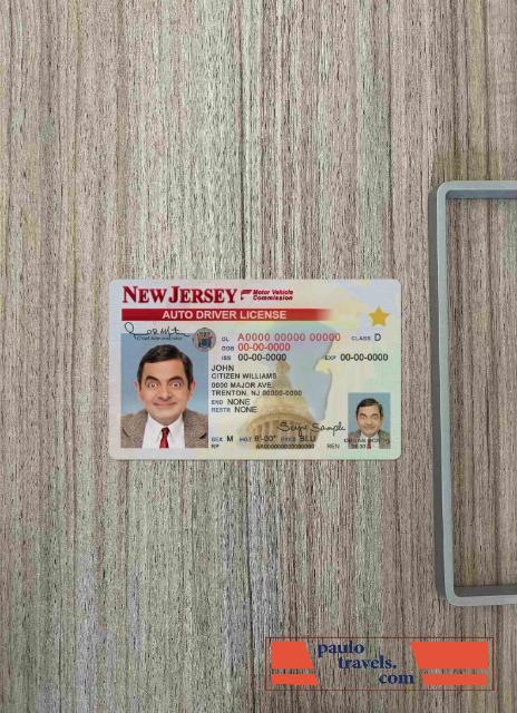 USA New Jersey DL photolook FRONT PSD template